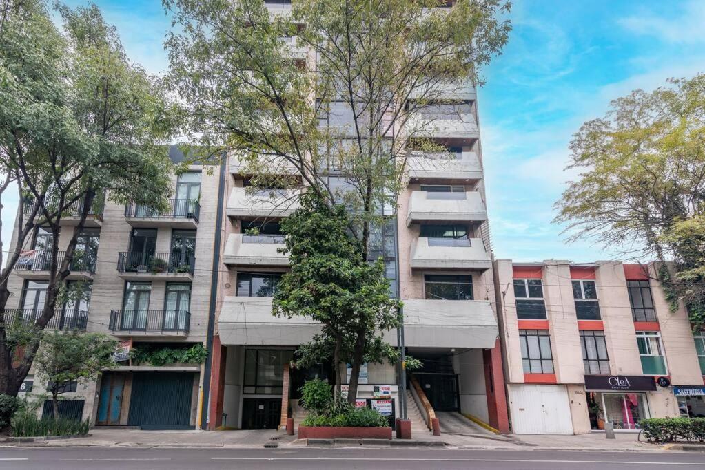 Luxury & spacious Apt in CDMX