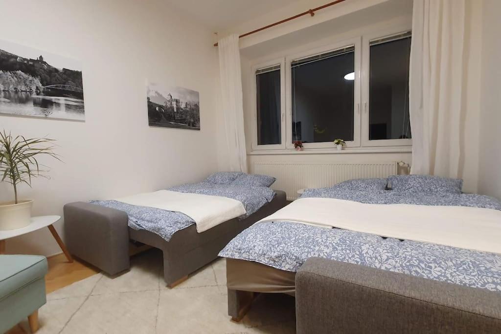 Apartmán s balkonem u parku & 15 minut do centra