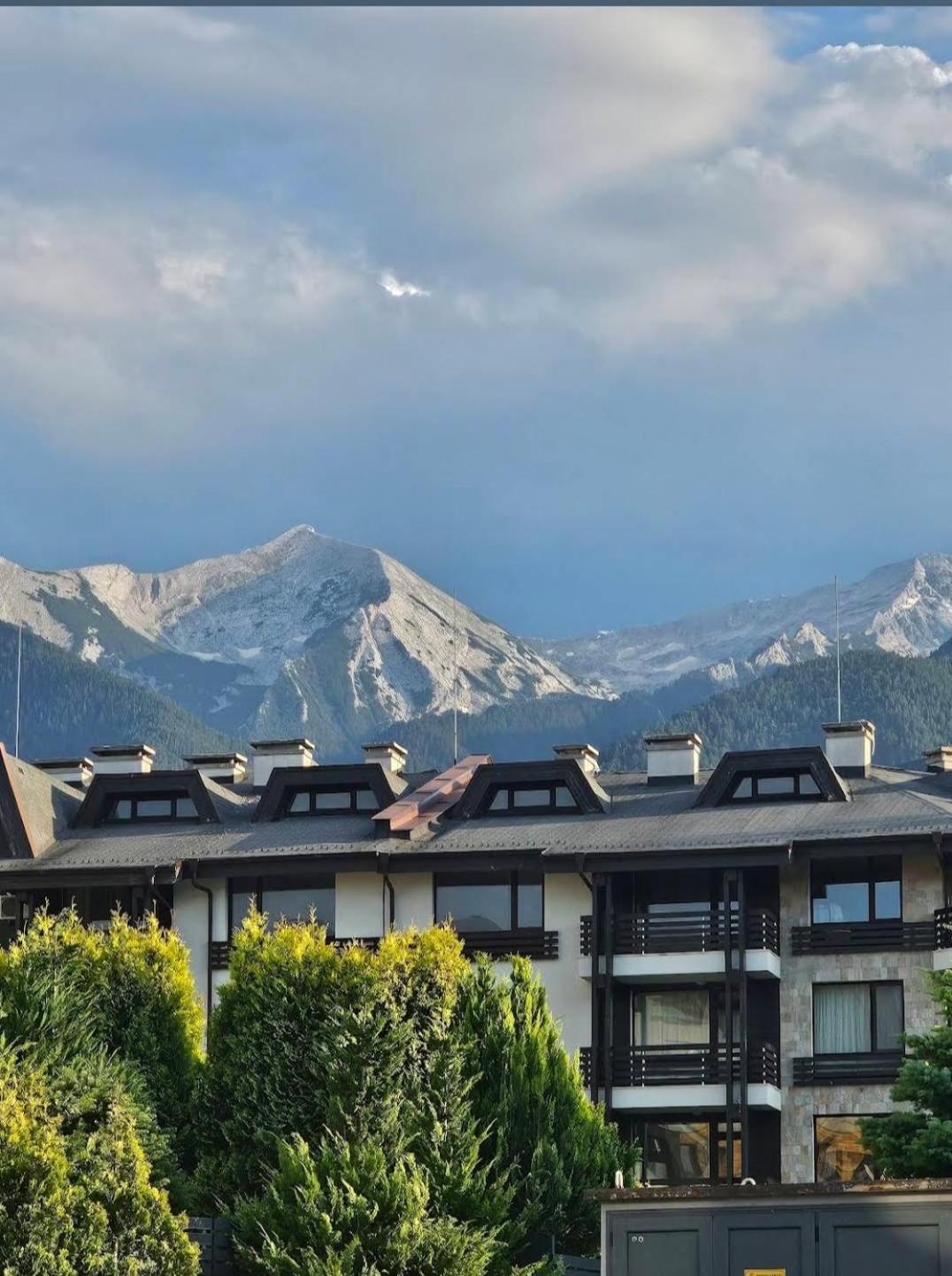 Garden apartment Aspen Suites A008
