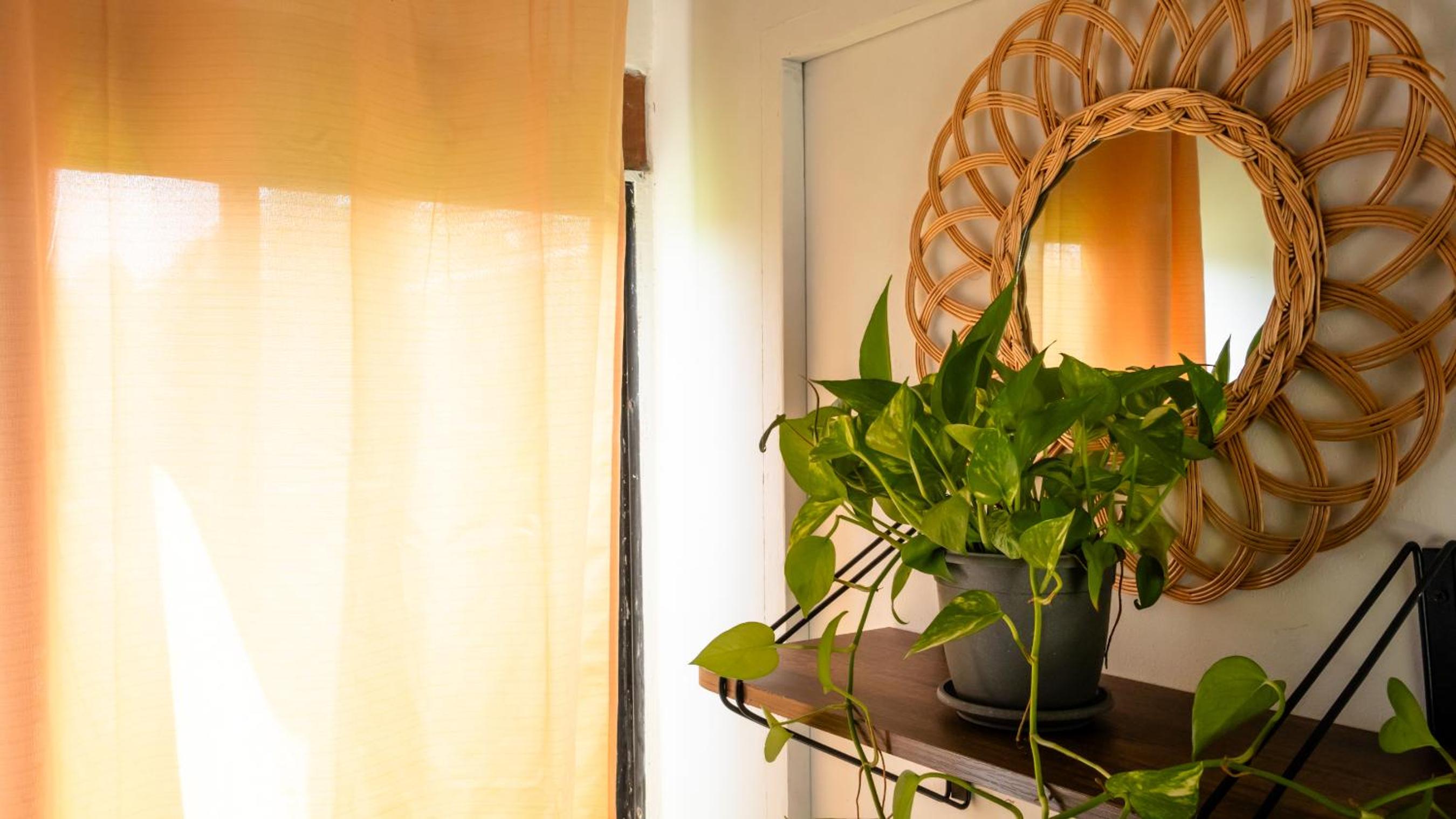 Apartamentos turisticos - Boho Sai