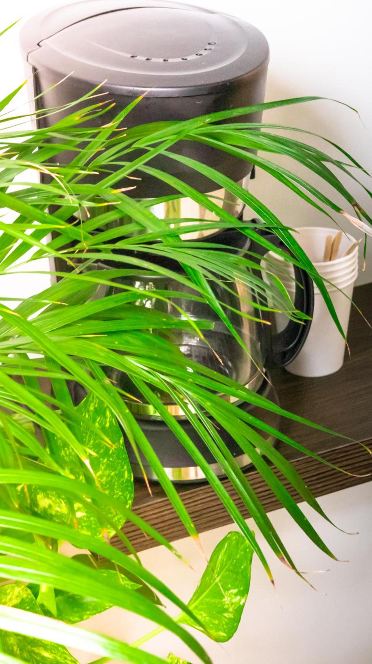 Apartamentos turisticos - Boho Sai