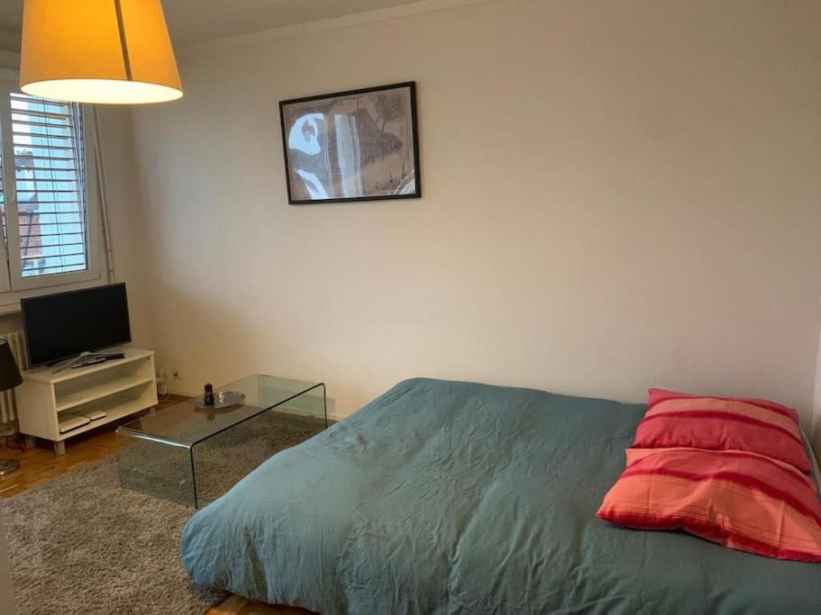 Beautiful studio 2 minutes from Lausanne Train Station