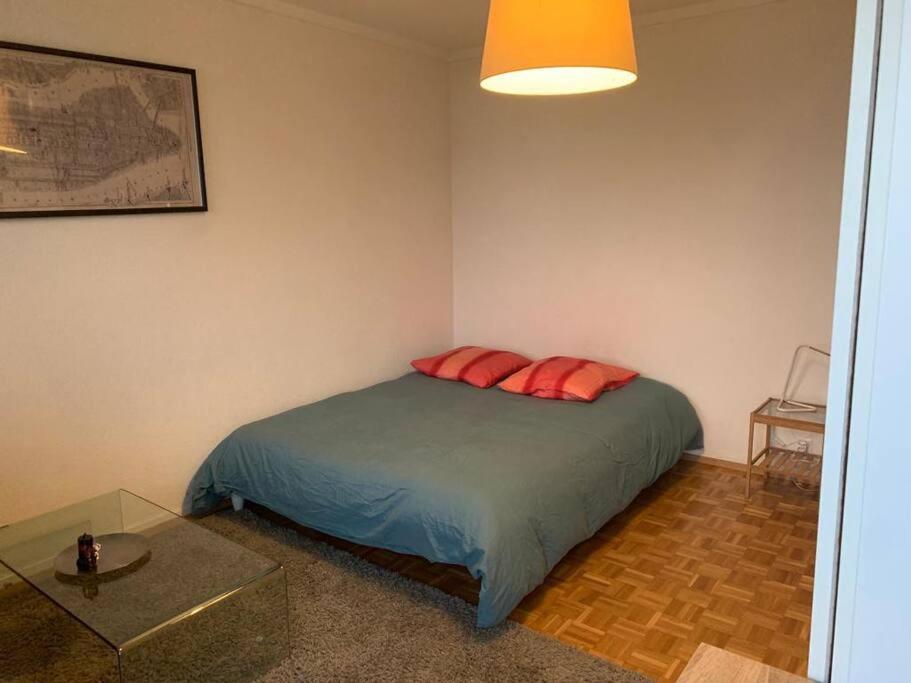 Beautiful studio 2 minutes from Lausanne Train Station