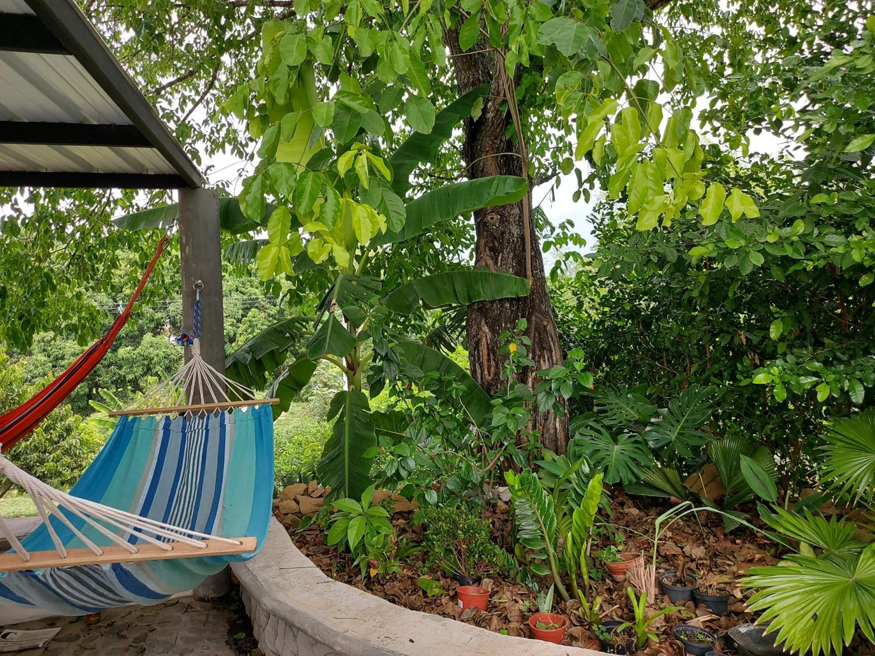 Finca Ecológica Sopetran