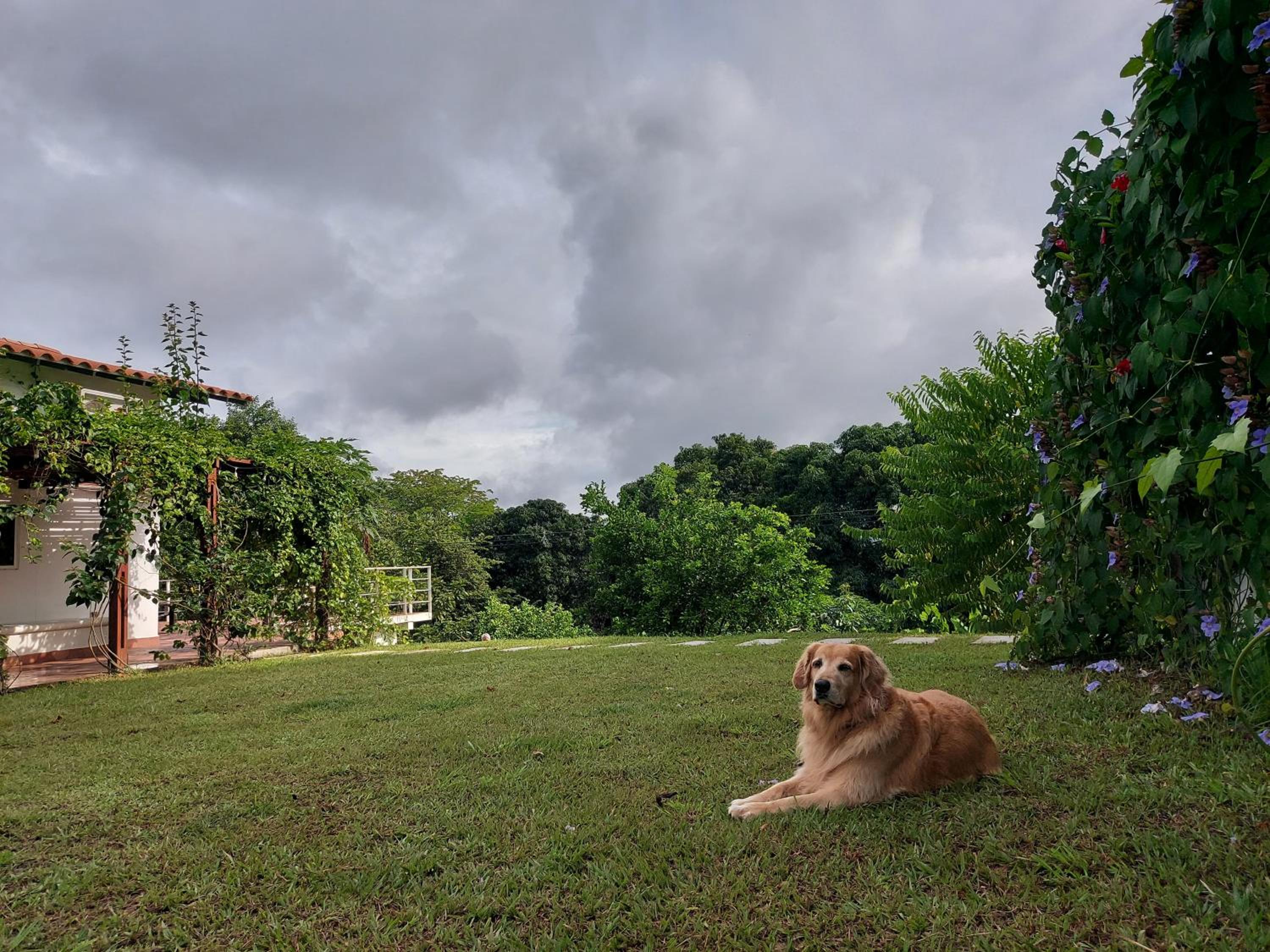 Finca Ecológica Sopetran