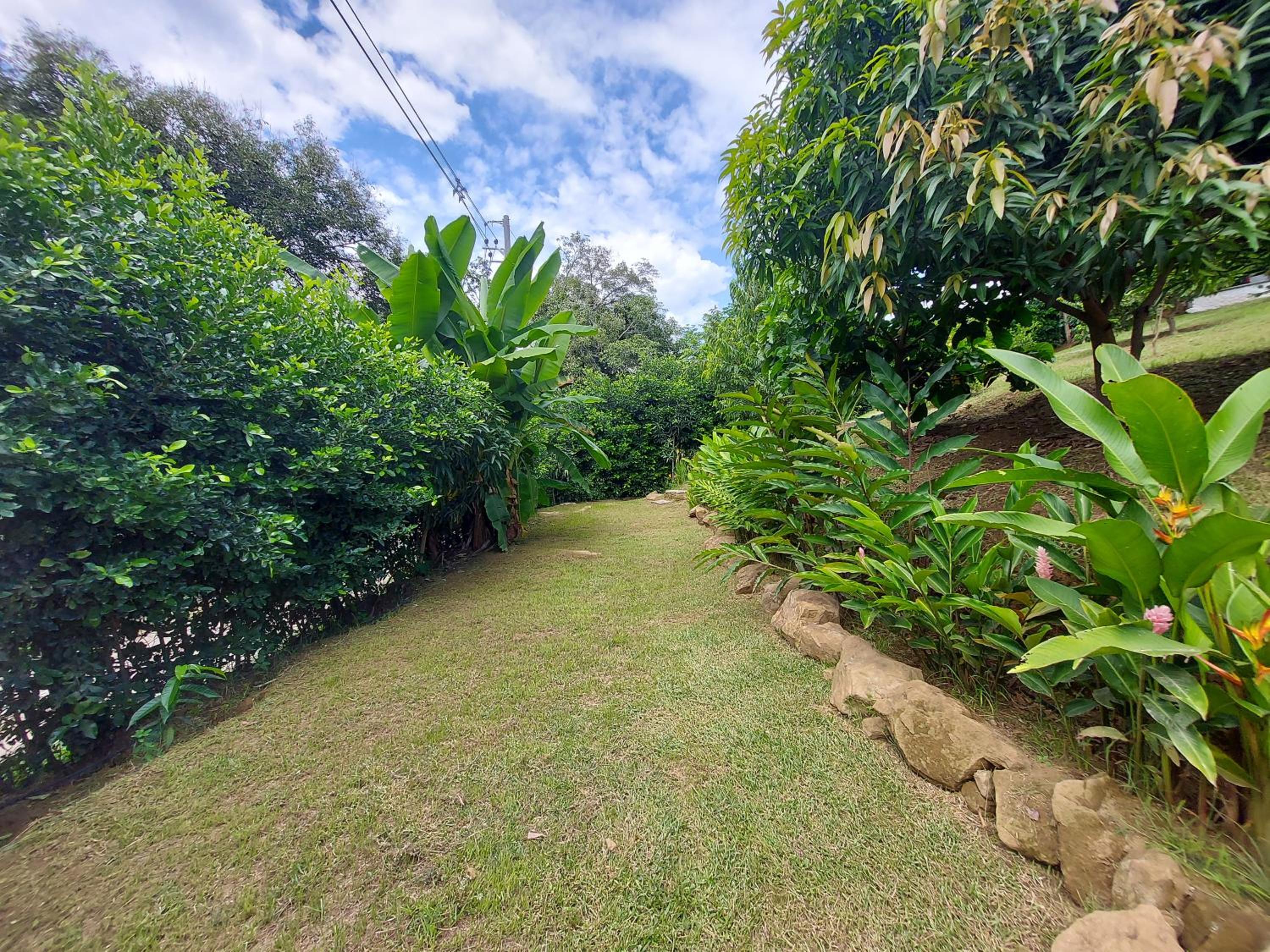 Finca Ecológica Sopetran