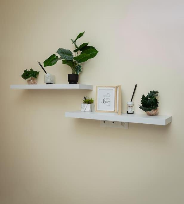 Appartement cosy tout confort