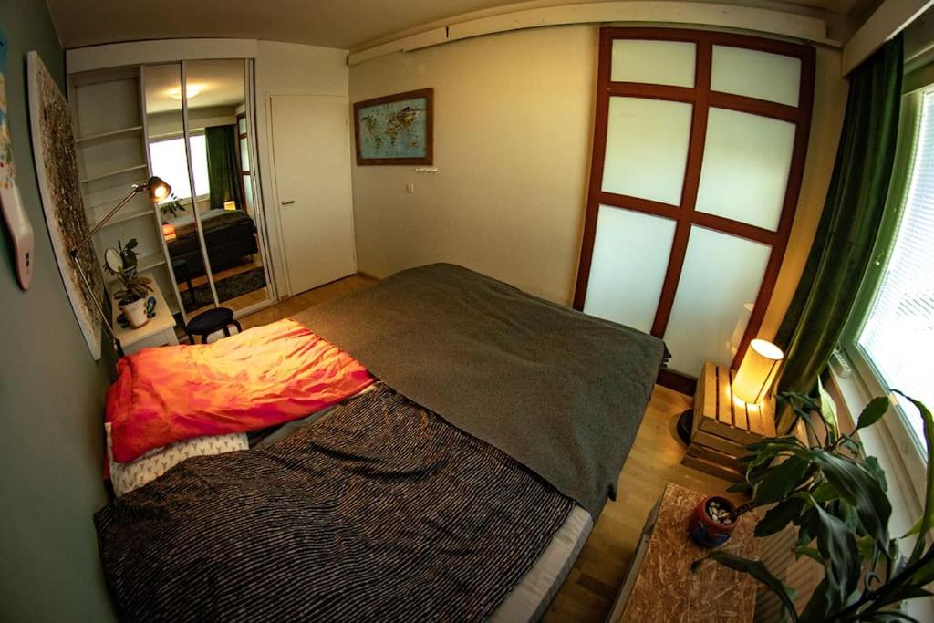 Photo 31