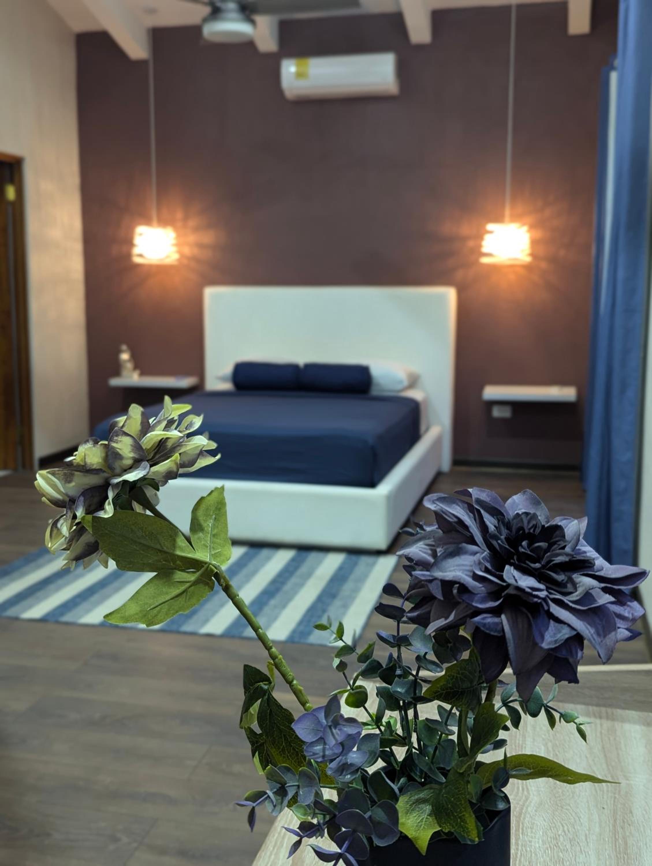 CR Caribbean Blue House - Modern style 100 WiFi