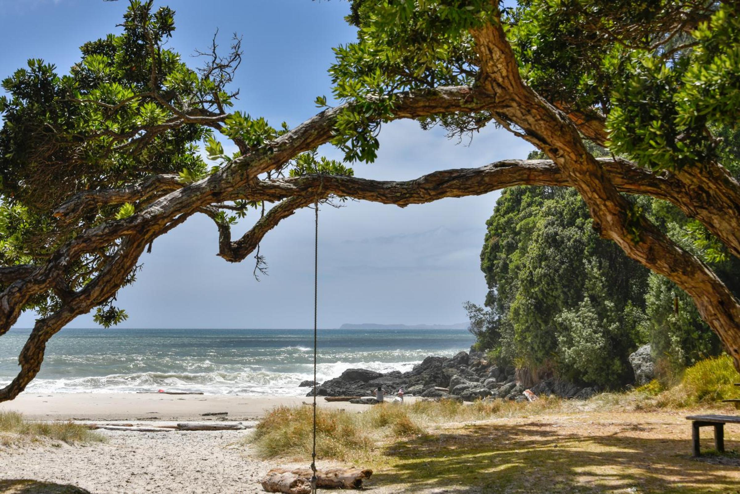 Whangapoua waves