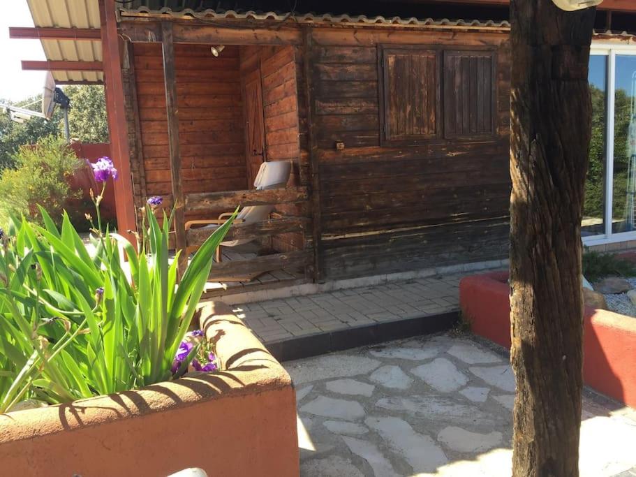 Cabaña, Cottage y momentos únicos
