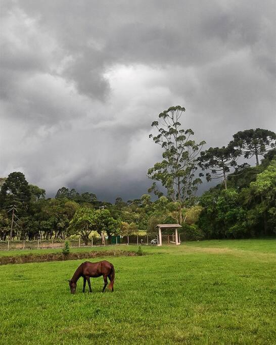 Casa de Campo - Recanto Arvorecer