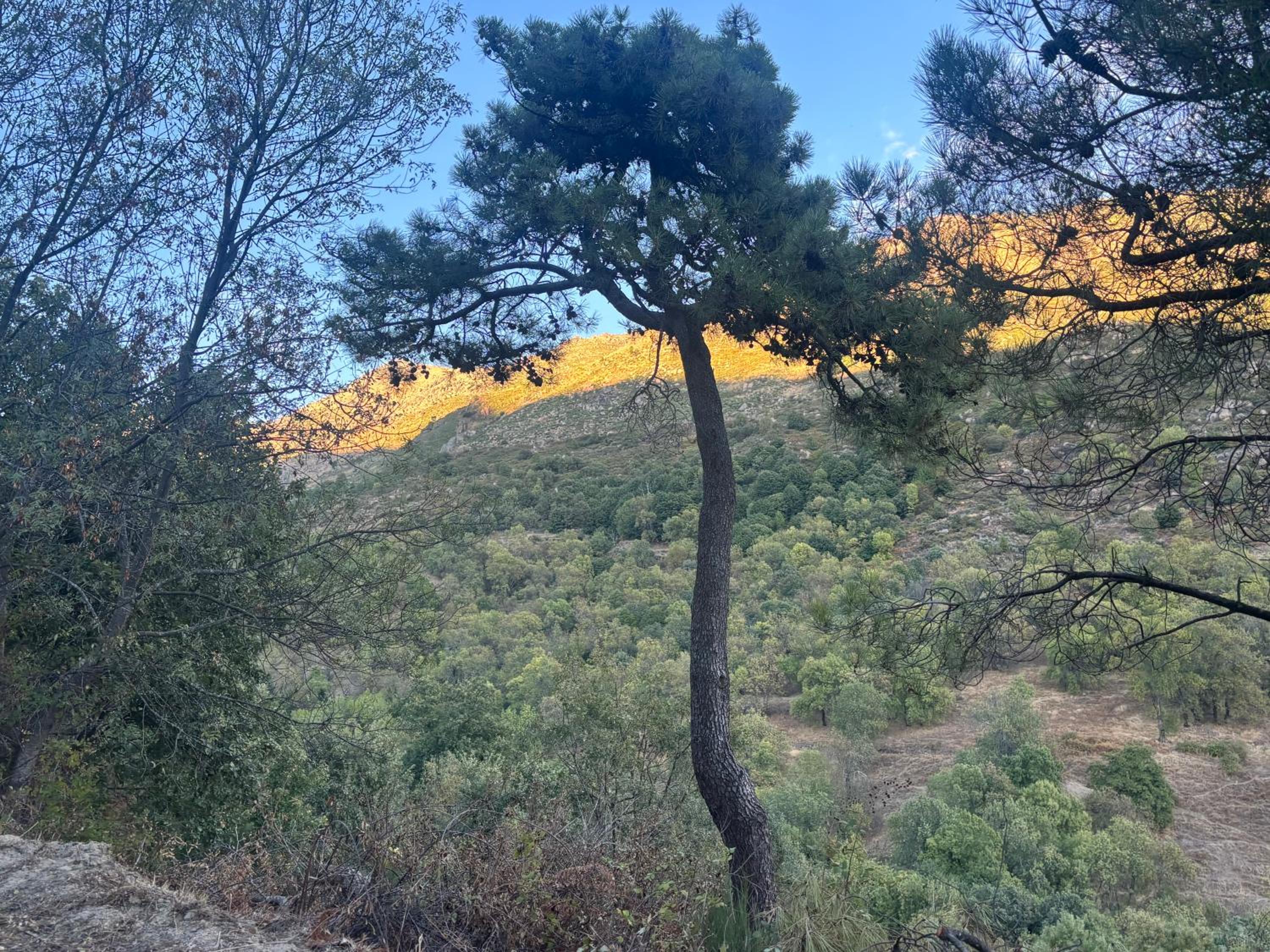 Luna de Gredos - Dormitorios con baño en suite