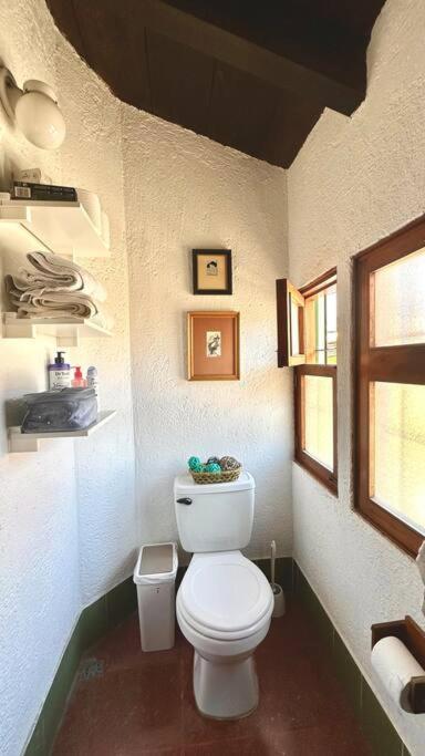 Oasis Antigueño