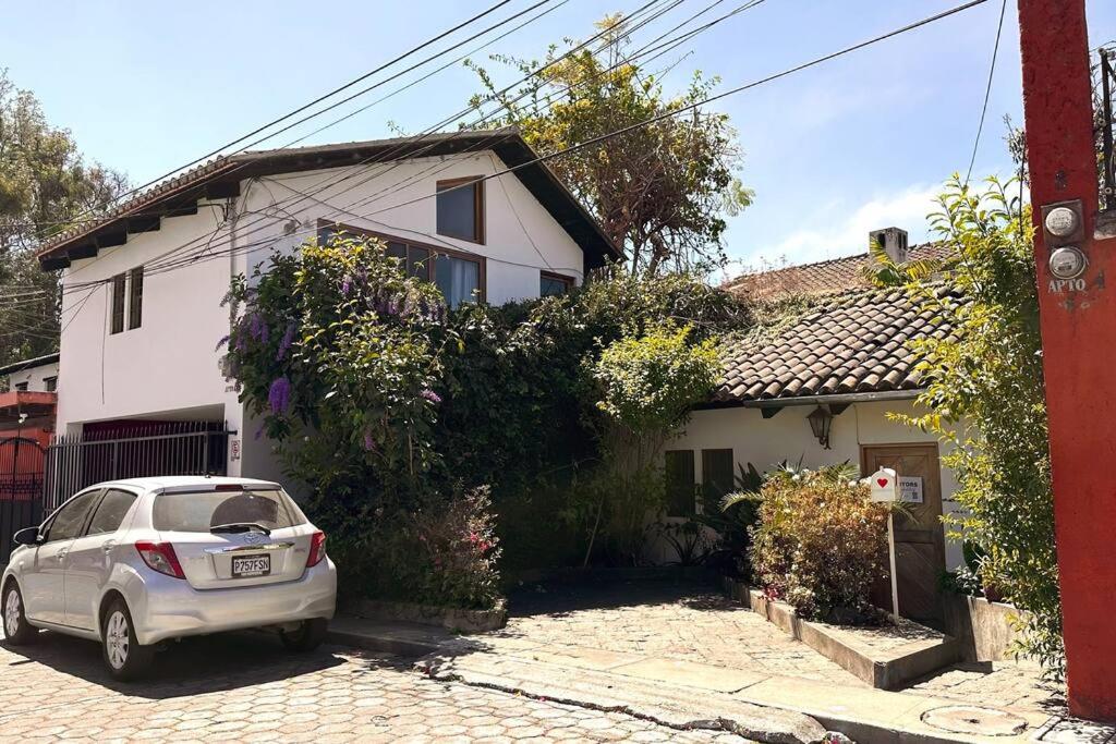 Oasis Antigueño