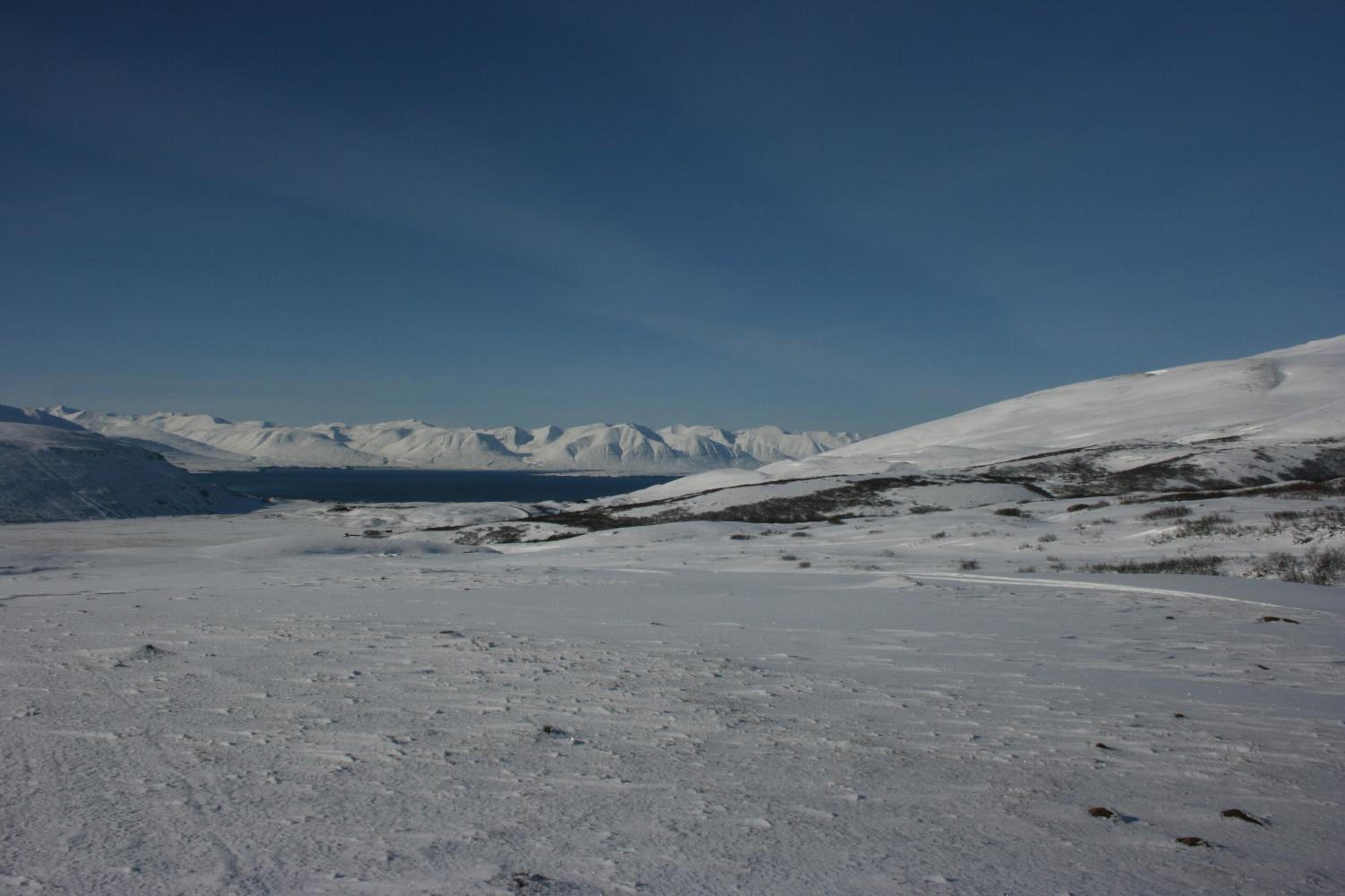 Photo 24