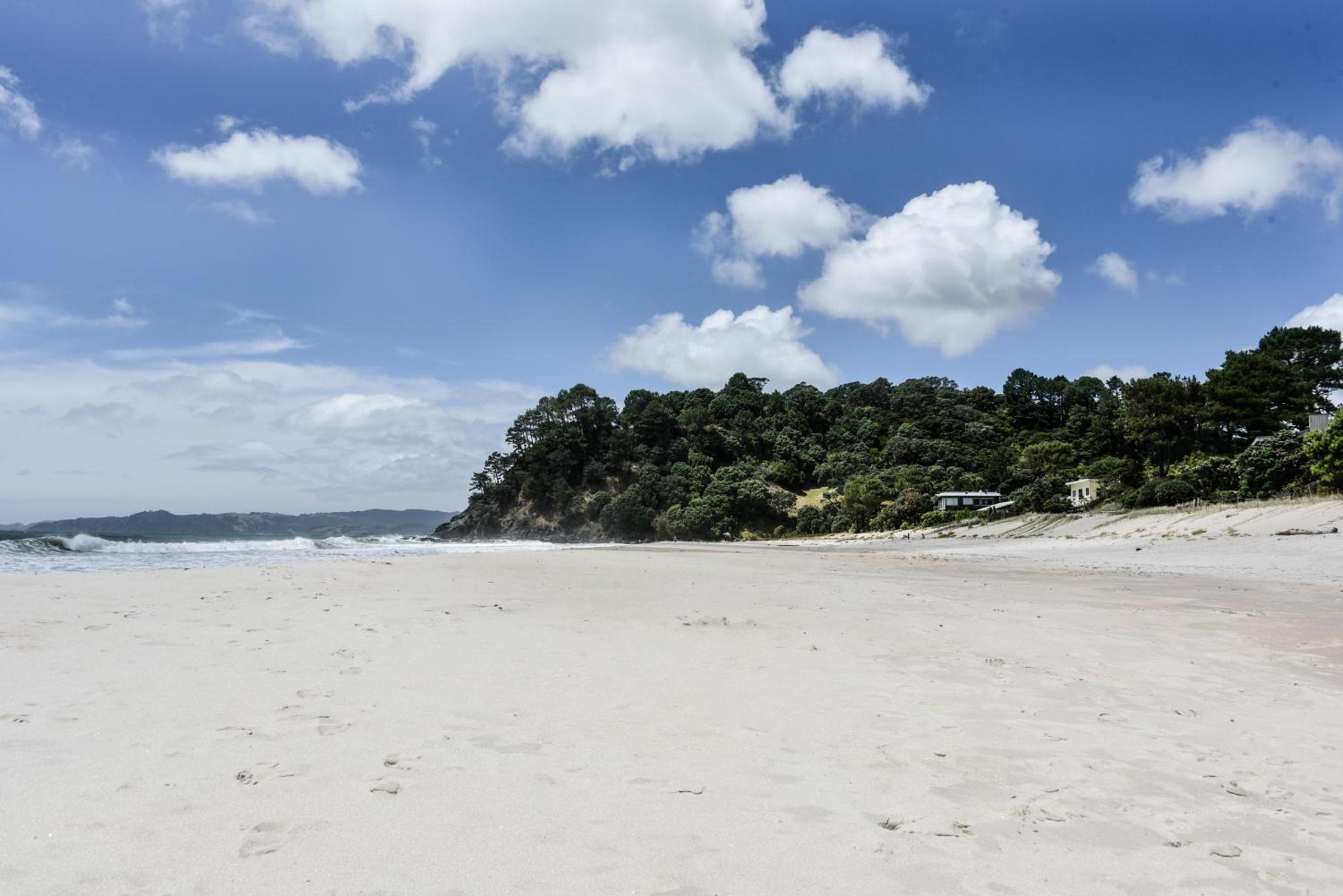 Whangapoua waves