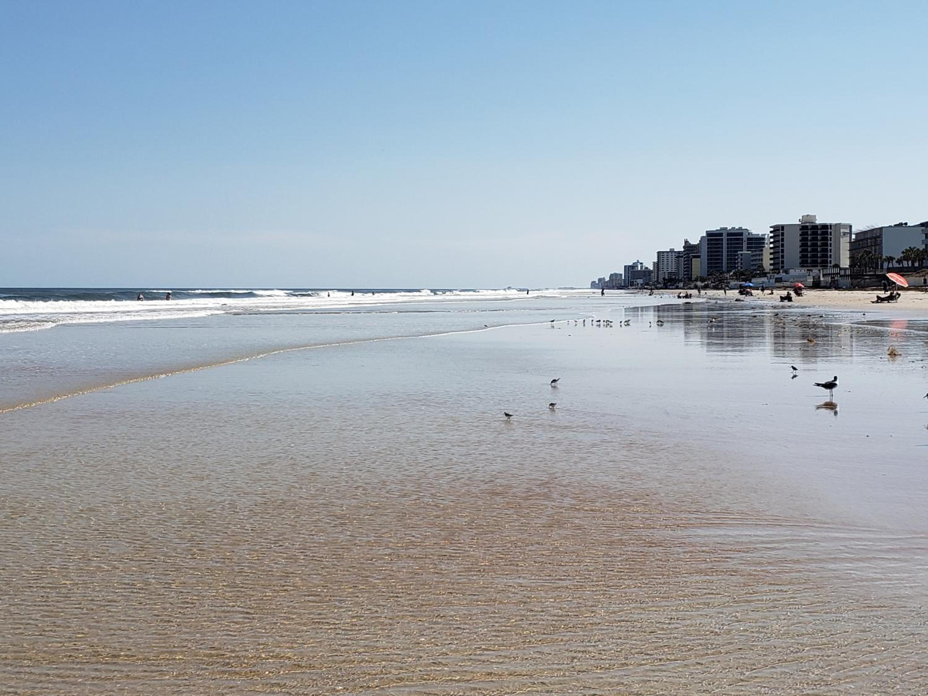 Beachside Bliss Ocean-View Condo with Pool and Private Beach Access Perfect for Families and Couples view 4