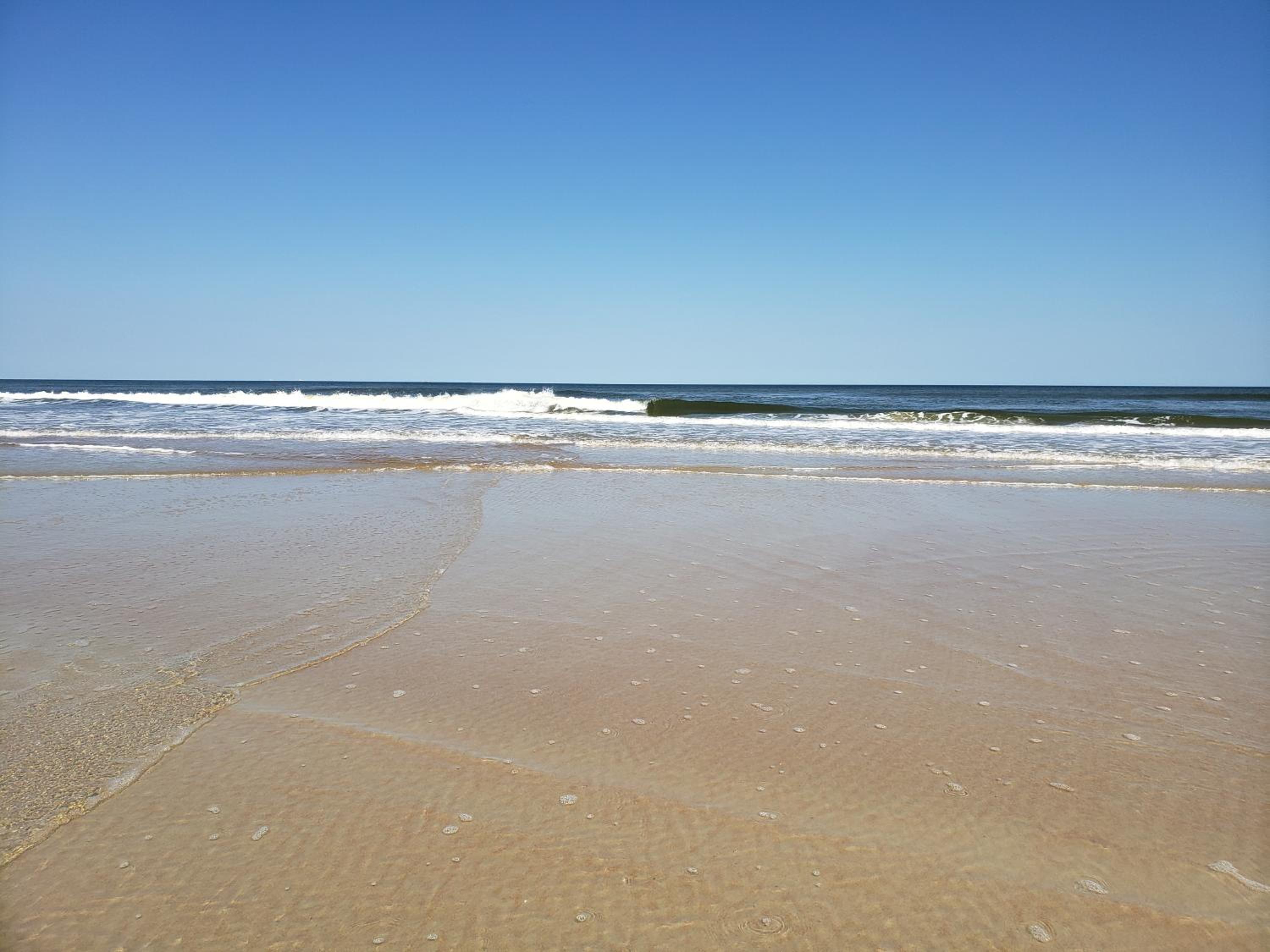 Beachside Bliss Ocean-View Condo with Pool and Private Beach Access Perfect for Families and Couples view 3