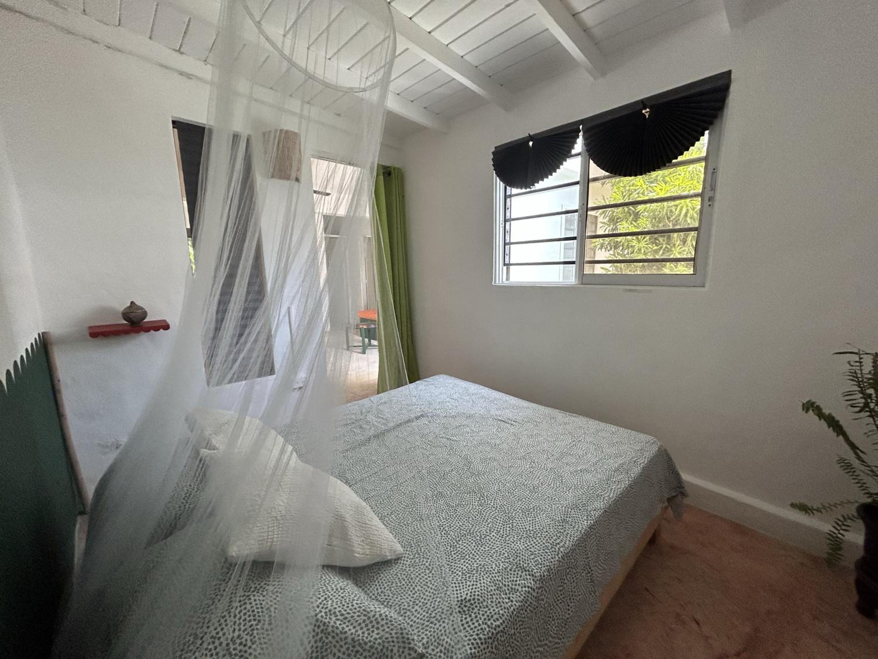 NEW MORINGA