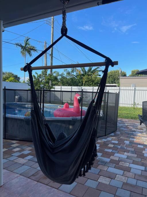 Flamingo Paradise