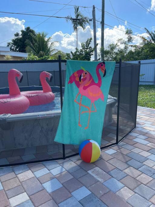 Flamingo Paradise