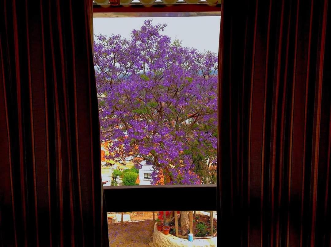 Hermoso departamento con la mejor vista de Sucre 1