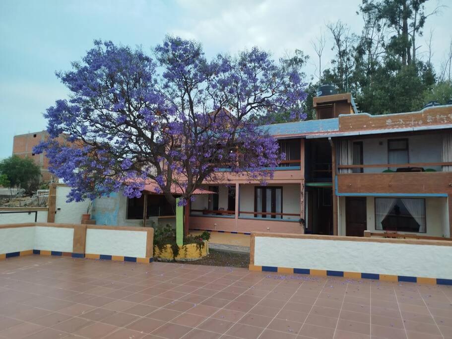 Hermoso departamento con la mejor vista de Sucre 1