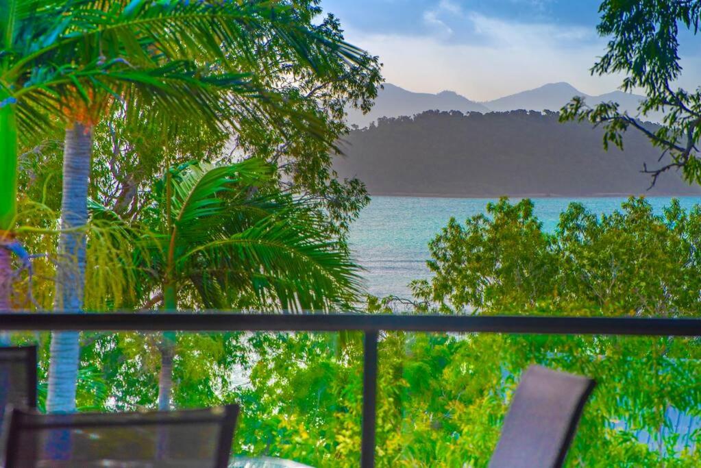 Anchorage 4 & Buggy Hamilton Island