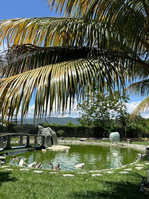 Espectacular Finca Villa Rosa -15 minutos de Tulua
