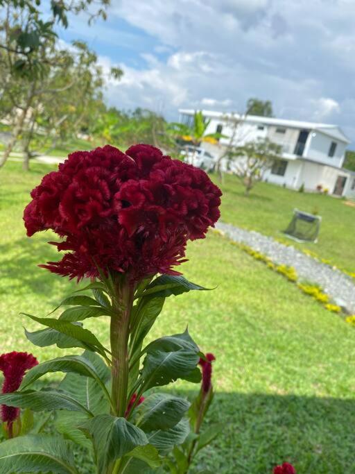 Espectacular Finca Villa Rosa -15 minutos de Tulua