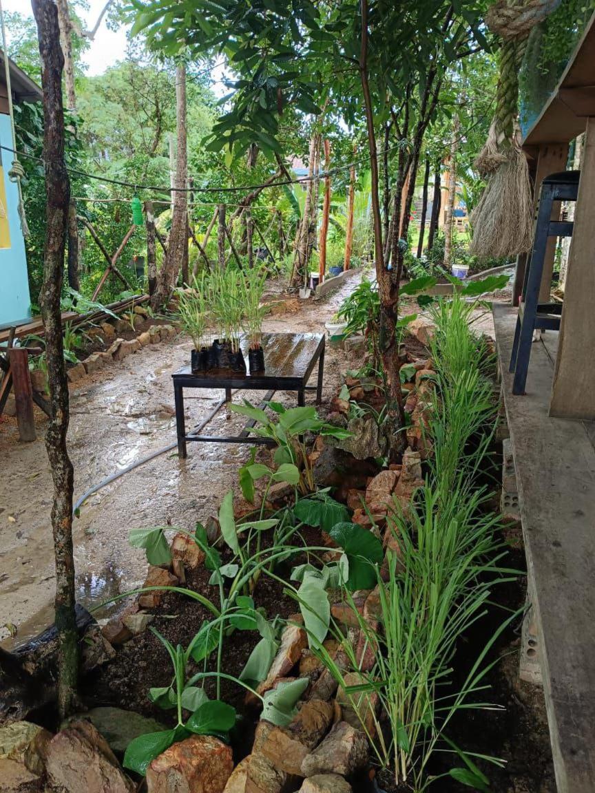 Dragonfly Guesthouse M'Pai Bay