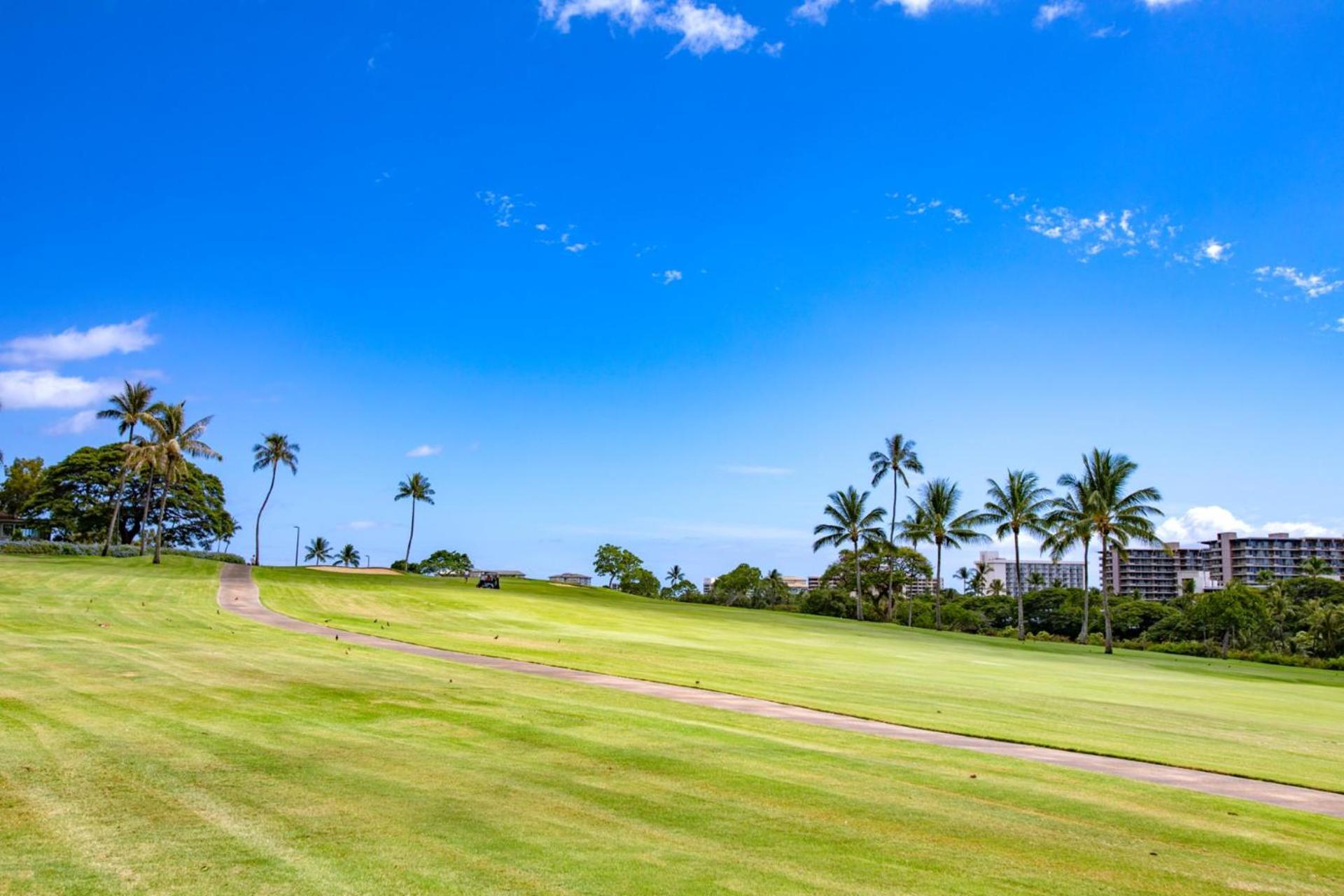 KBM Resorts: Maui Eldorado MEL-A107 Maui Eldorado Studio w Kitchen AC Includes Rental Car view 3