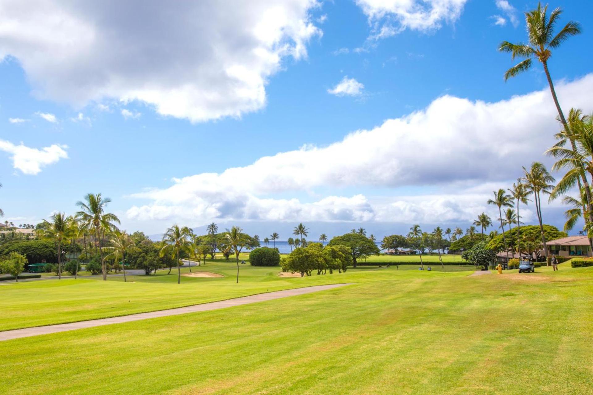 KBM Resorts: Maui Eldorado MEL-A107 Maui Eldorado Studio w Kitchen AC Includes Rental Car view 4