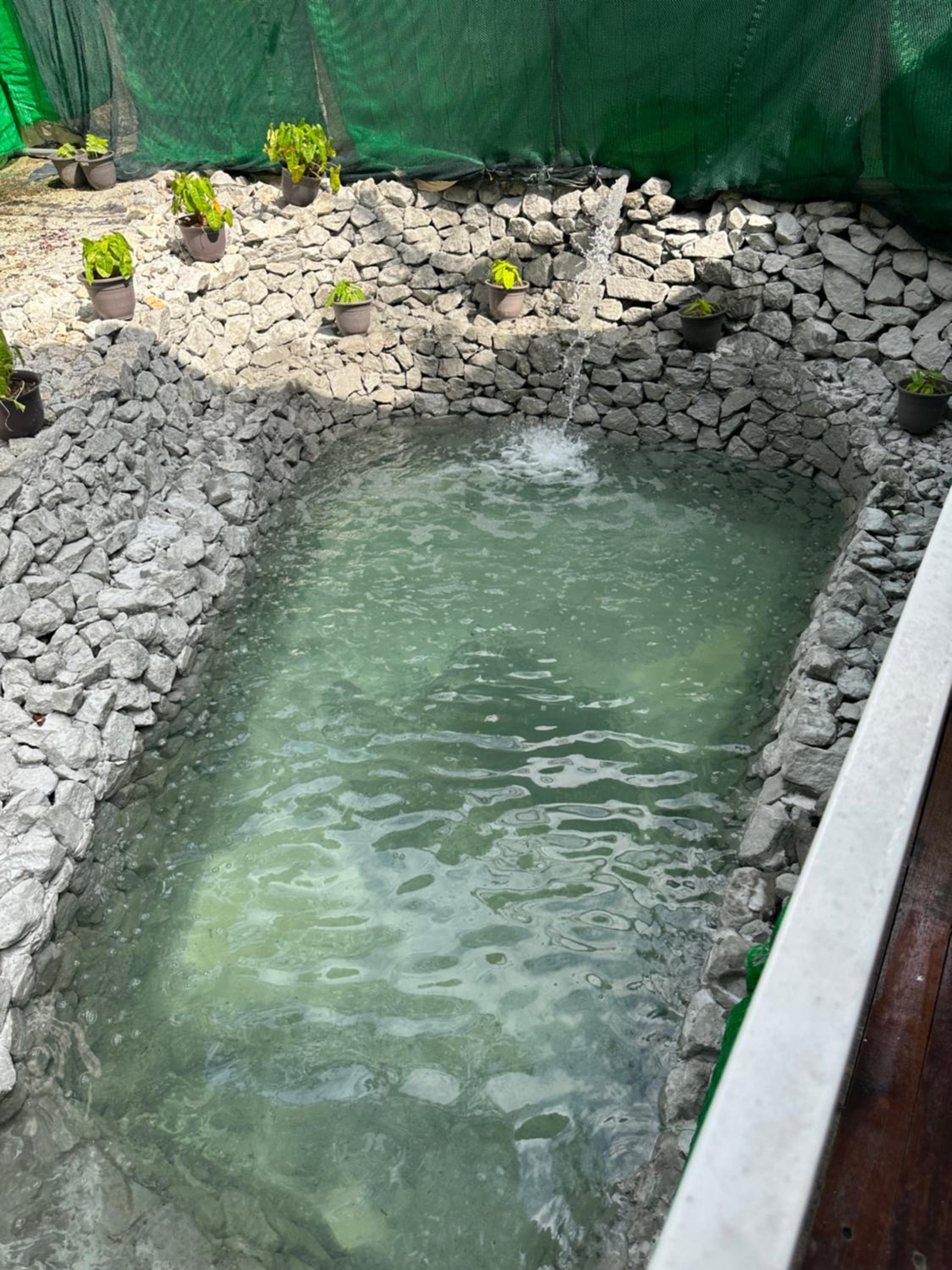 Woodcookies Guesthouse view 5