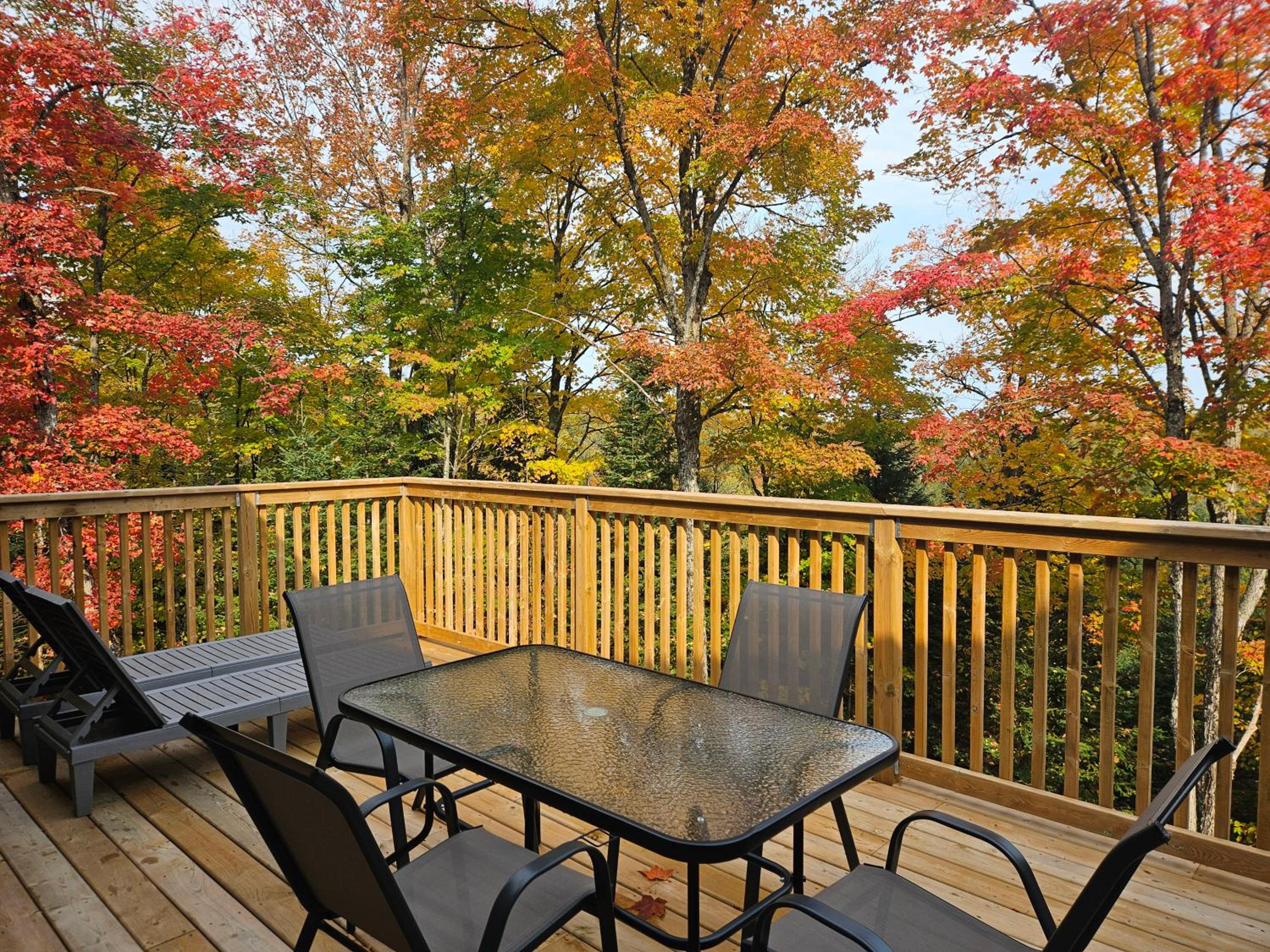 4BR Entire private modern cottage - Hilltop view