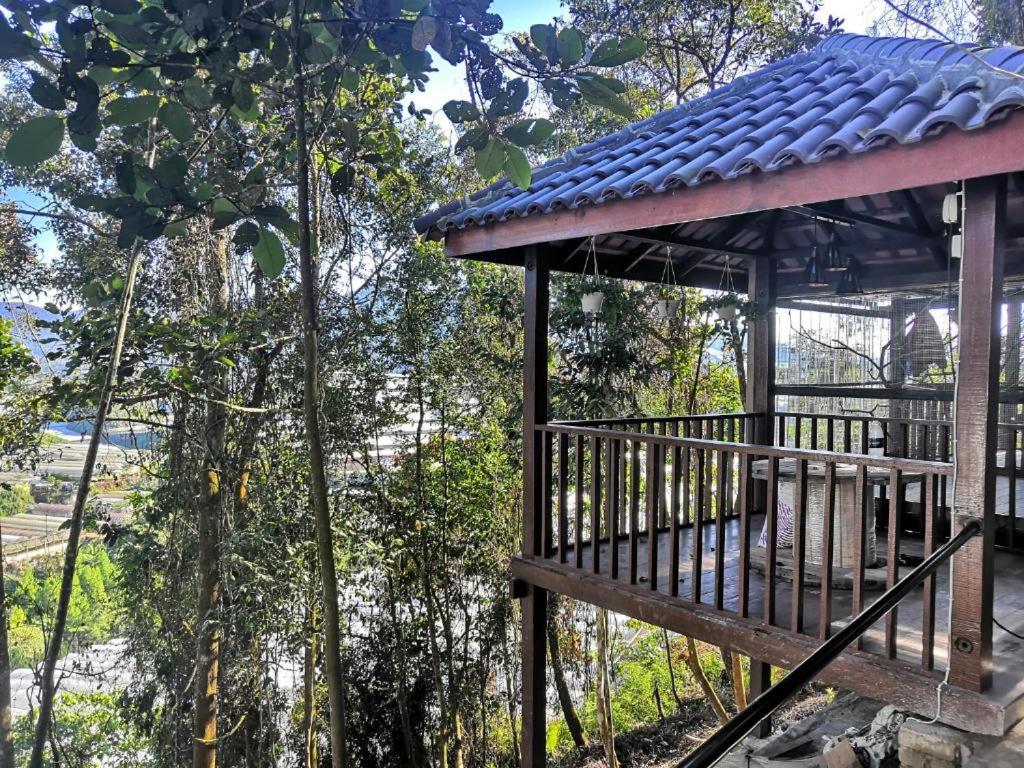 Orkid Chalet Ringlet