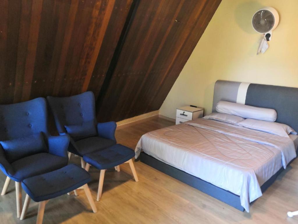 Orkid Chalet Ringlet