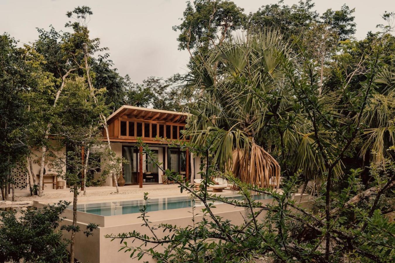 Casa Tropical 4BR Pool and Enchanting Cenote view 4