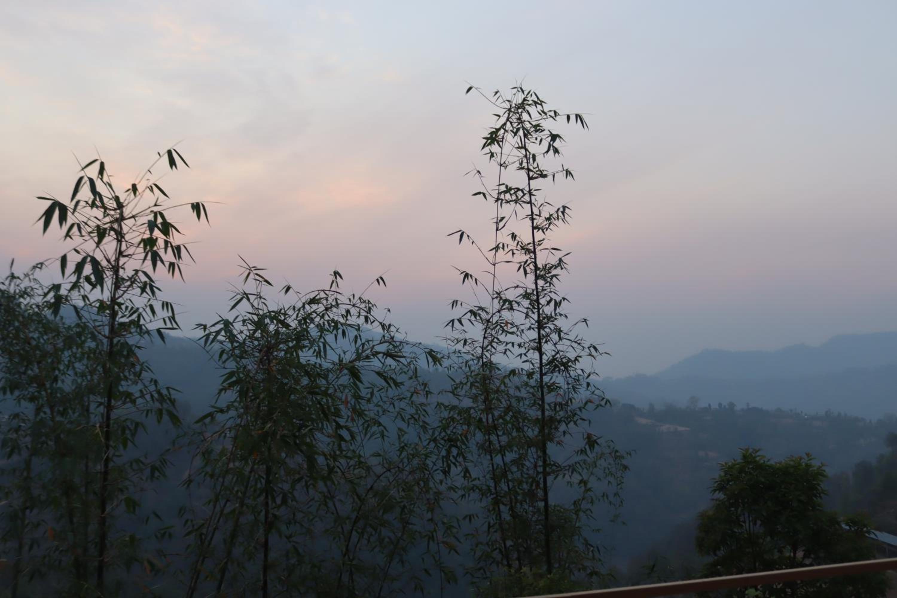 Srijana Farm view 3