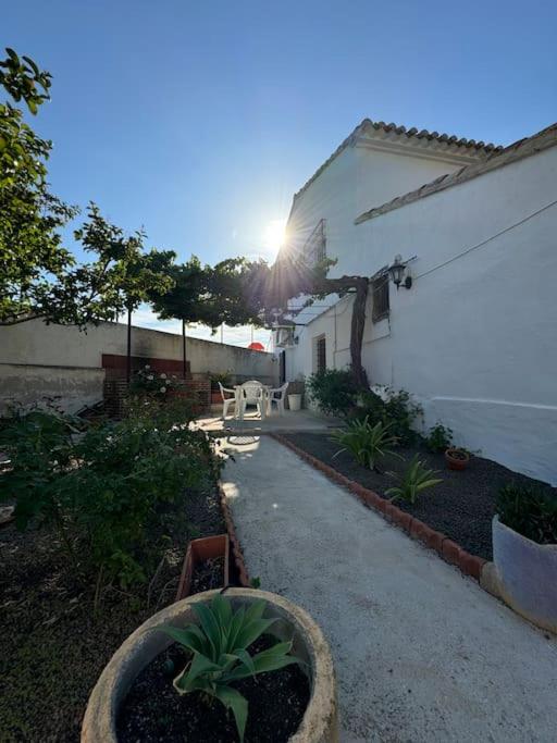Villa rural sXIX Luz tranquilidad y naturaleza