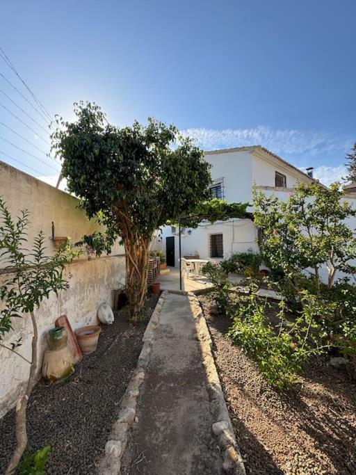 Villa rural sXIX Luz tranquilidad y naturaleza