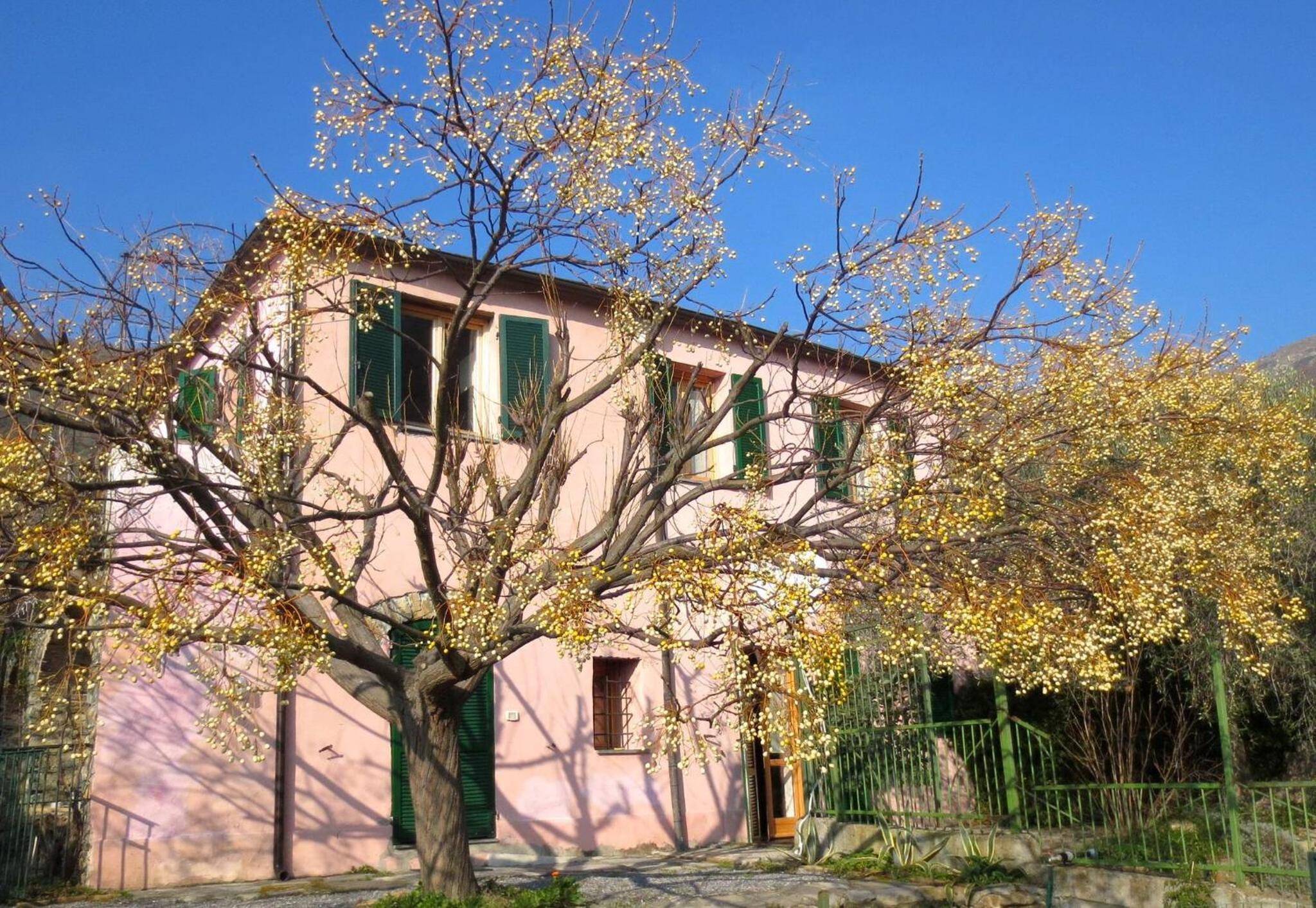Country House With Big Garden view 2