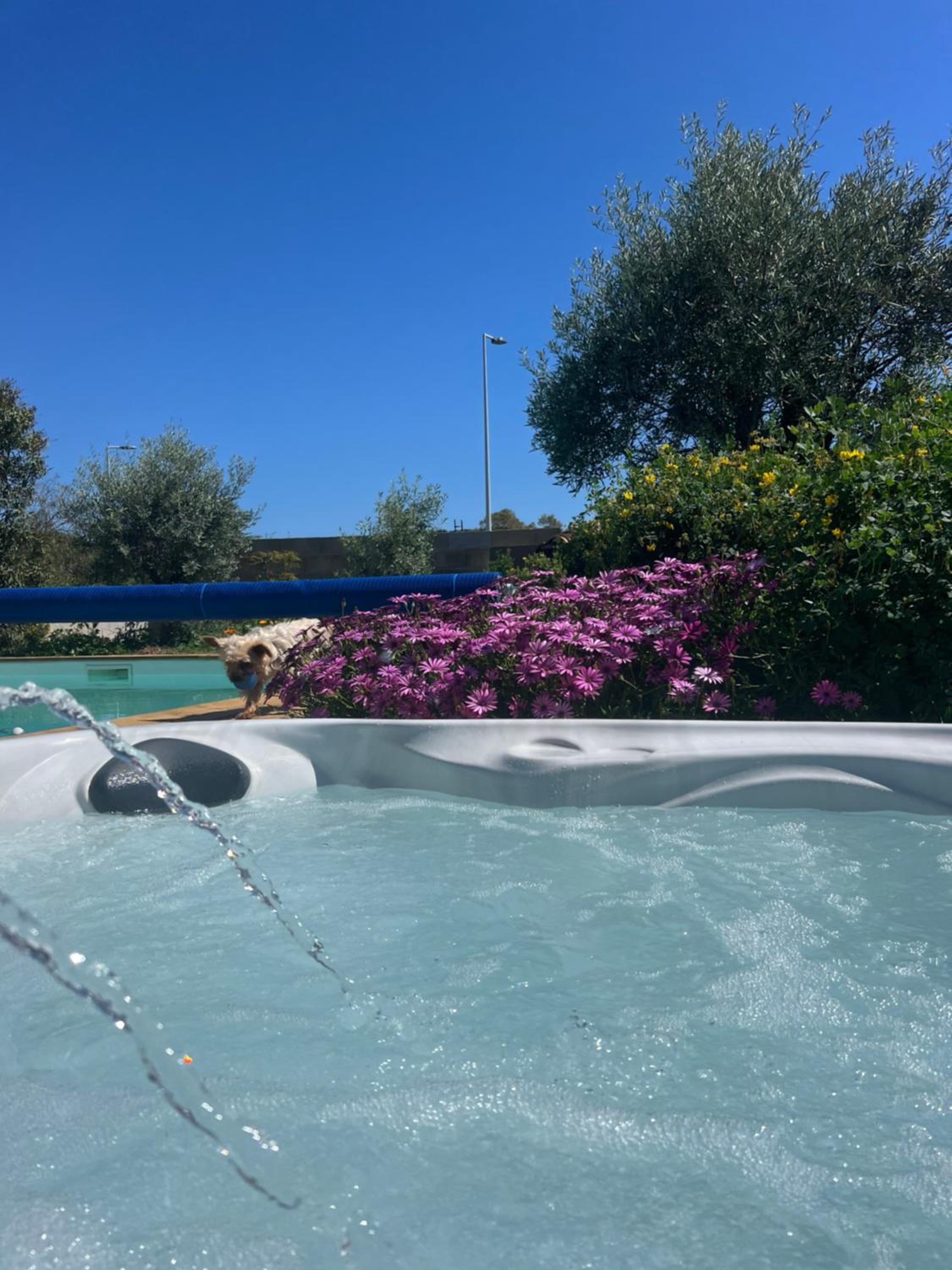 Gîte Les Lauriers Roses, photo 15