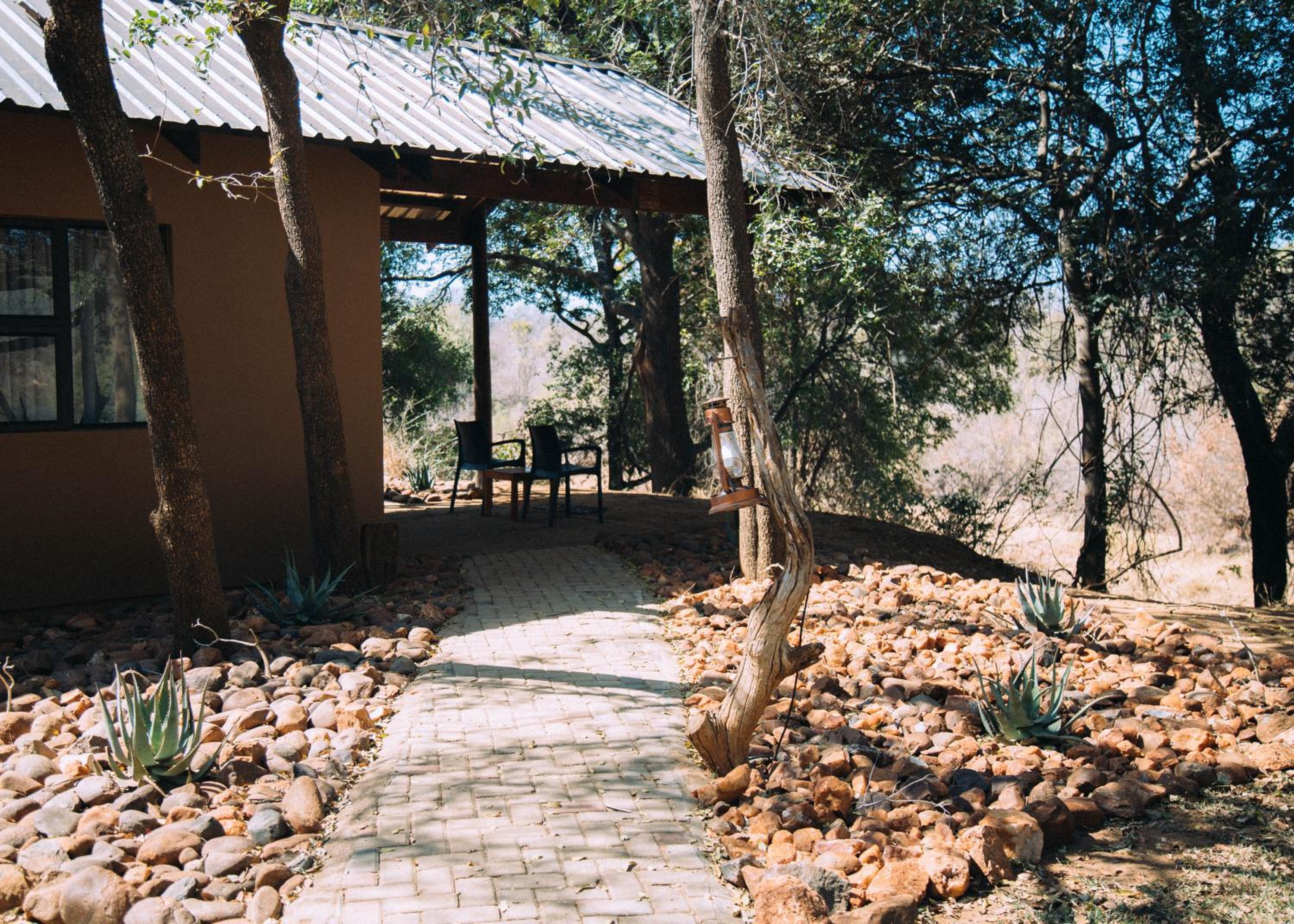 Photo 41