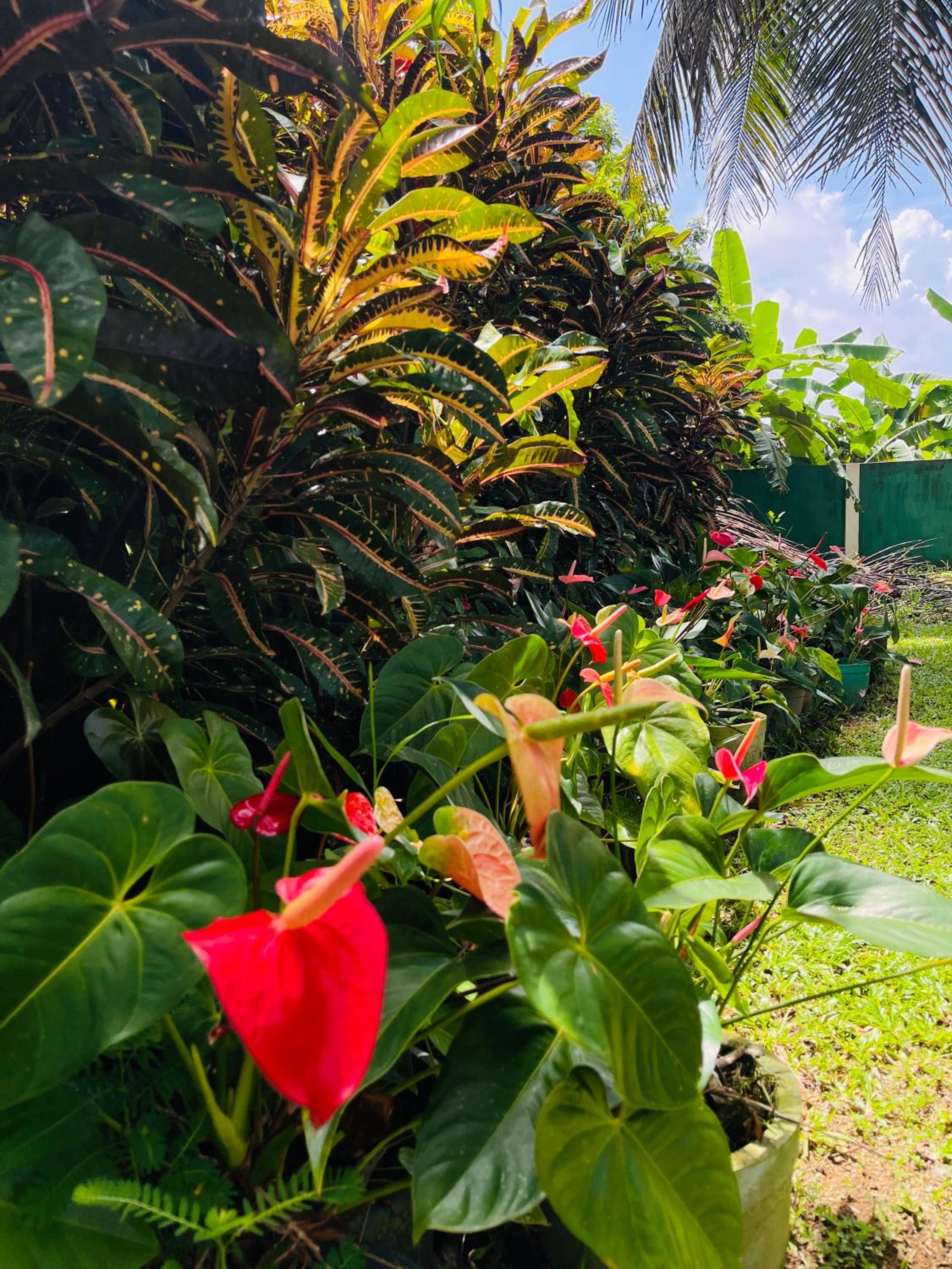 Green Heaven Villa view 2