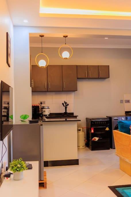 Sped Luxury Homes