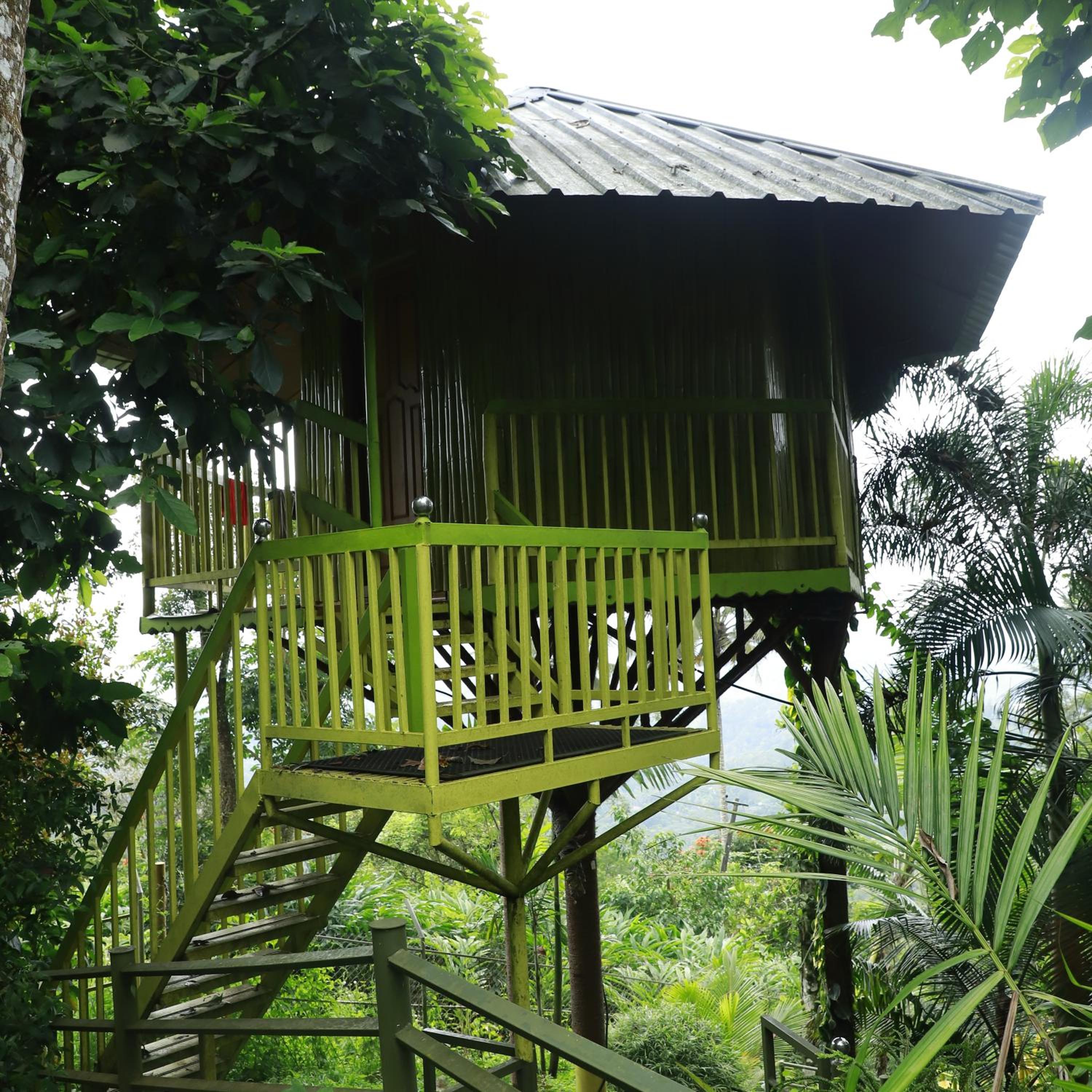 Nature villa view 2