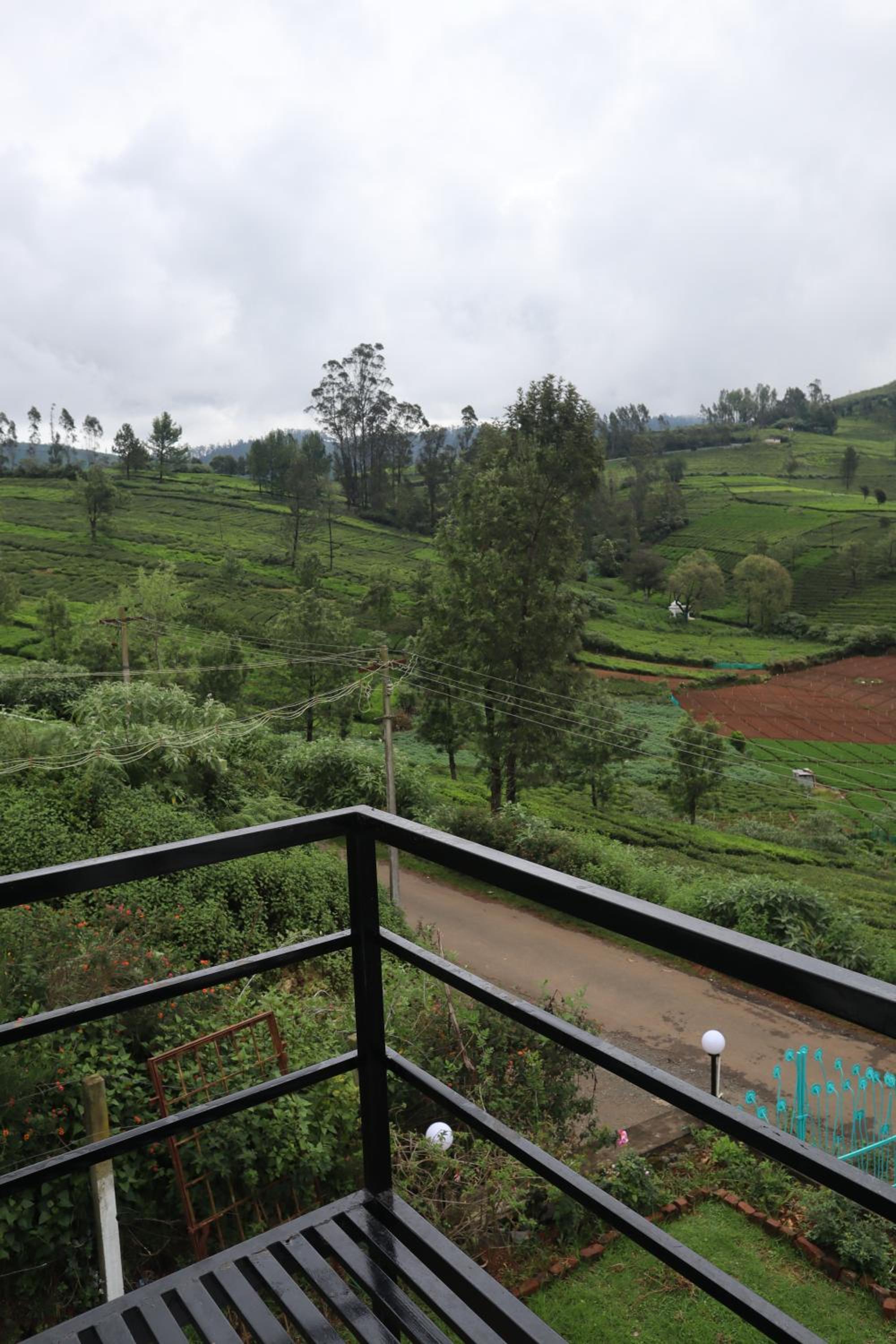 Kalanja Greens