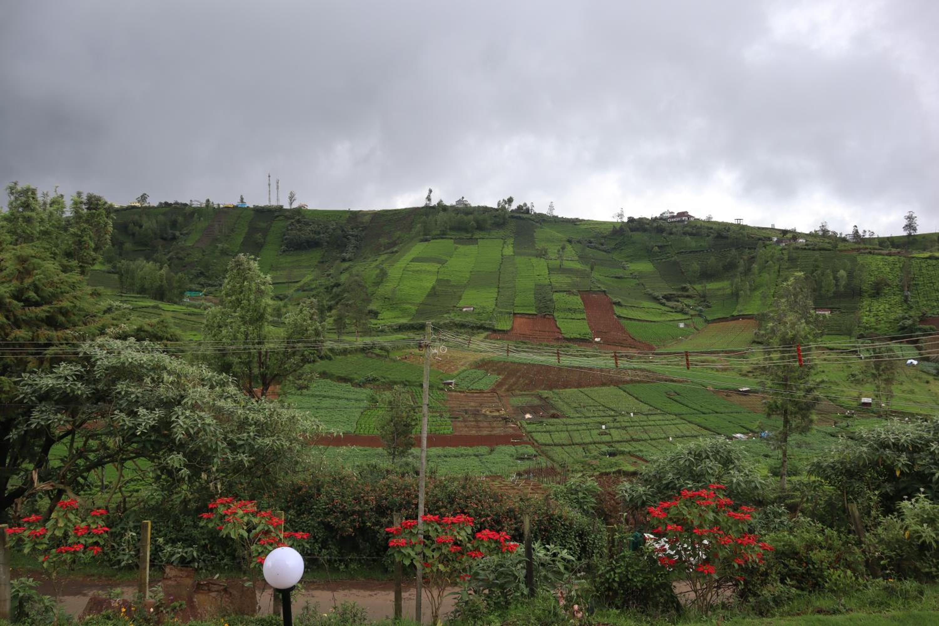 Kalanja Greens